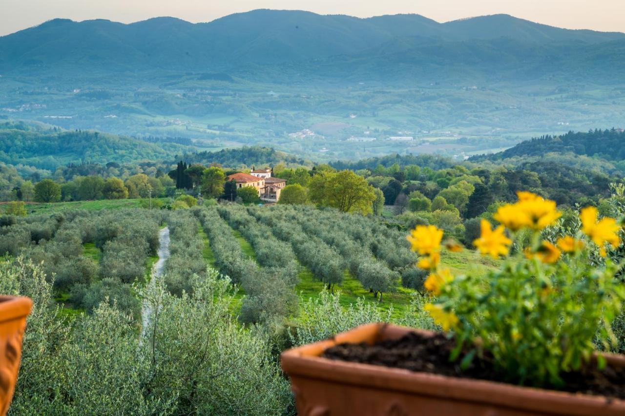 I Trebbiali Bed & Breakfast Reggello Exterior photo