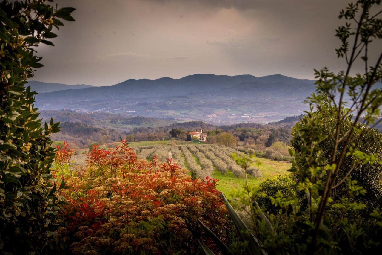 I Trebbiali Bed & Breakfast Reggello Exterior photo